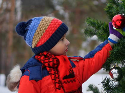 Зимние каникулы для школьников Бердска продлятся 14 дней