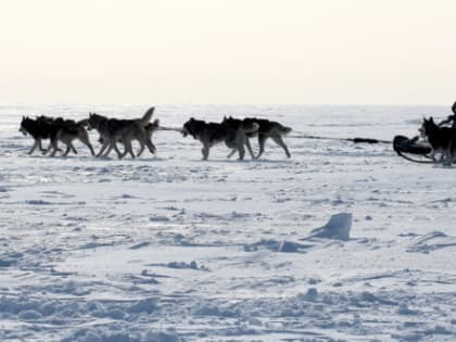 Погода в Новосибирске 20 января: снежно и морозно