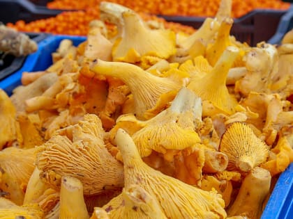 194 ярмарки низких цен провели в 2022 году в Новосибирске