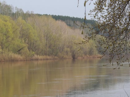 Смотри и голосуй: волонтёры собирают голоса за новый парк на берегу Ини