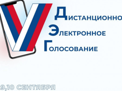 Приём заявлений на участие в дистанционном электронном голосовании на выборах завершается сегодня