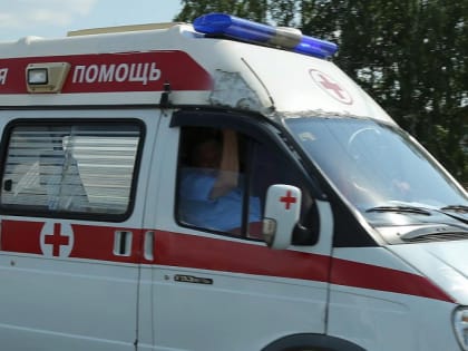 Парапланерист из Новосибирска сломал спину при жёстком приземлении