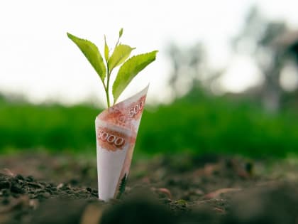 Предприниматели Бердска могут получить господдержку на развитие бизнеса