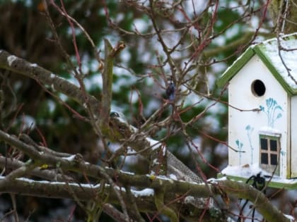 1 апреля в Новосибирске осадков не ожидается