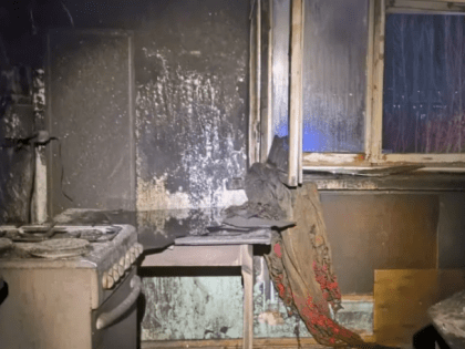 Под Новосибирском в пожаре погиб мужчина и пять его собак