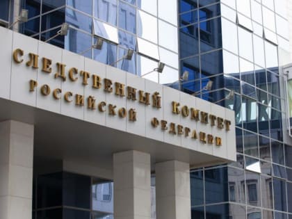 Бастрыкин взял на контроль убийство двух мужчин в новосибирском селе Толмачёво