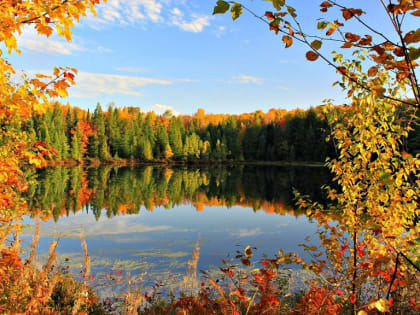 В Сибири началась золотая осень: погода 22 сентября в Новосибирской области