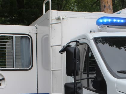 За билет «Банка приколов» отправлен в колонию житель Искитима