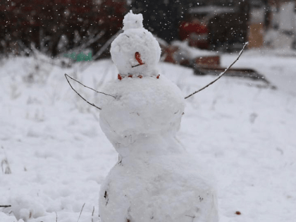 Идём на рекорд: 130 снежных баб слепят на Михайловской набережной