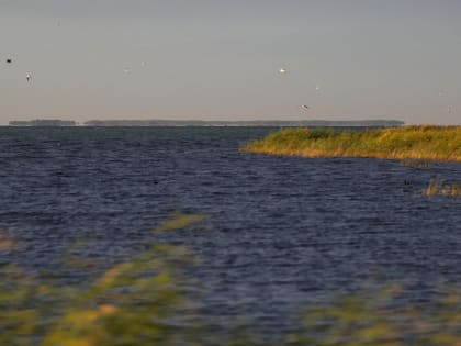Права пользования 34 озёрами в Новосибирской области выставили на торги