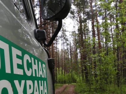 Надвигающийся крупный пожар угрожает дачам под Новосибирском