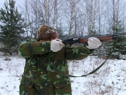 За незаконное убийство лося ответит в суде житель Новосибирской области