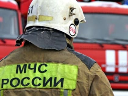 84 пожара потушили в Новосибирской области 27 мая