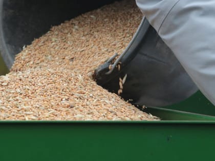 Элеваторный комплекс за 4,7 млрд построят в Новосибирской области