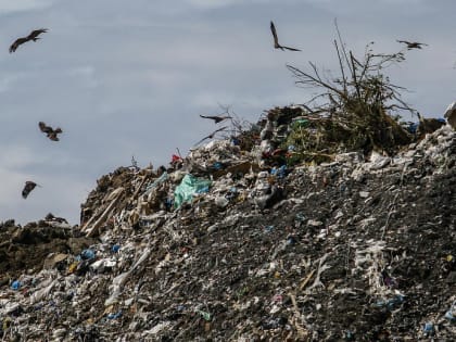 Рекультивацию свалки на окраине Пашино завершат в конце 2024 года