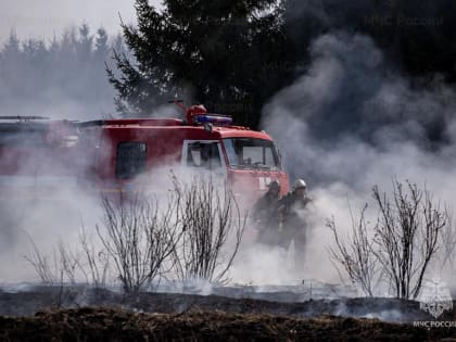 «Риск – высокий»: в каких районах возможно осложнение пожароопасной обстановки
