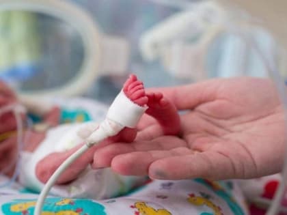 Как вязаные игрушки помогают недоношенным малышам дышать