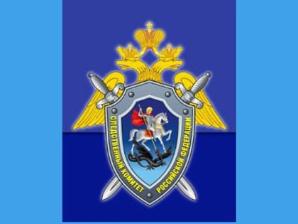 Следователи проводят проверку из-за травмы позвонка школьника в Новосибирске