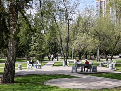 Погода в Новосибирске 8 июля: небольшой дождь