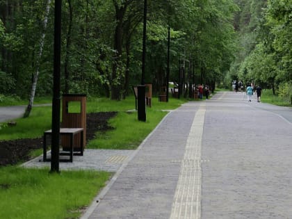 Паблик-ток о тактическом урбанизме проведут в Заельцовском парке