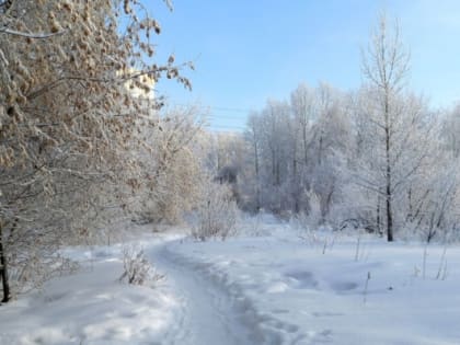 Погода в Новосибирске 13 января: снежно и не очень холодно