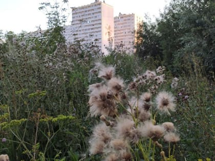 Новые вызовы и возможности для экономики города