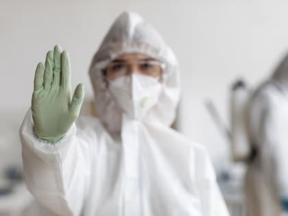 «Это тараканотерапия»: пациент новосибирской больницы пожаловался на полчище тараканов