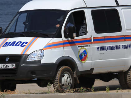 Собака упала в колодец и отключила интернет в Новосибирске