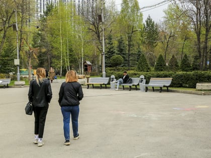 Если вы пропустили: лабиринт цветов, терапевт с хвостом и полицейская Муха