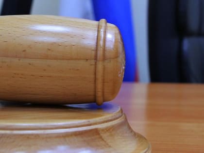 Двое подростков получили срок за подготовку теракта в Новосибирске