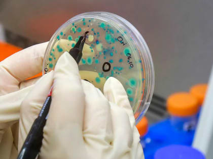 Первый российский препарат от оспы начнут производить в Новосибирске