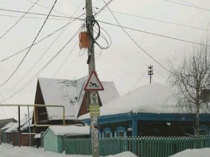 Дорожный алкознак заметили в Новосибирске