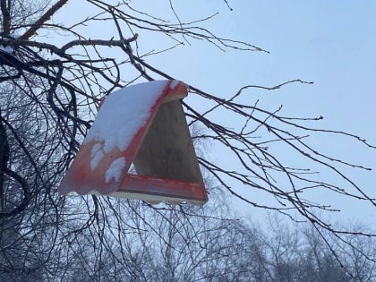 В Новосибирске потеплеет до 0 градусов в ближайшие выходные