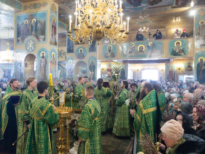 Митрополит Никодим совершил Литургию в праздник Входа Господня в Иерусалим