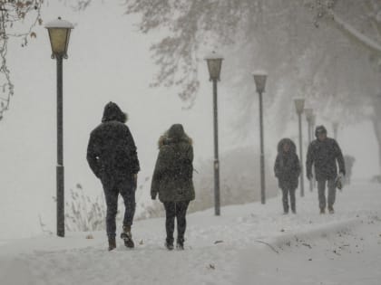 Прожиточный минимум в Новосибирской области в 2023 году вырастет на 5%