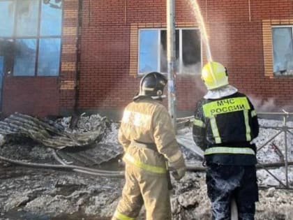 Пожар на улице Волочаевской тушили целые сутки