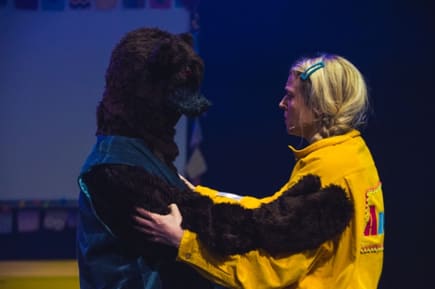 shame bear confrontation