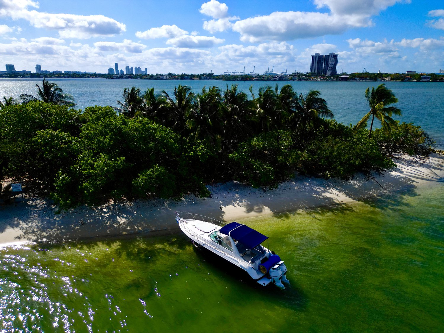 DJI_0581
