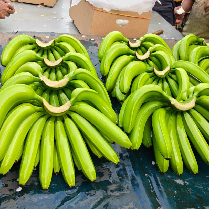 Fresh Banana