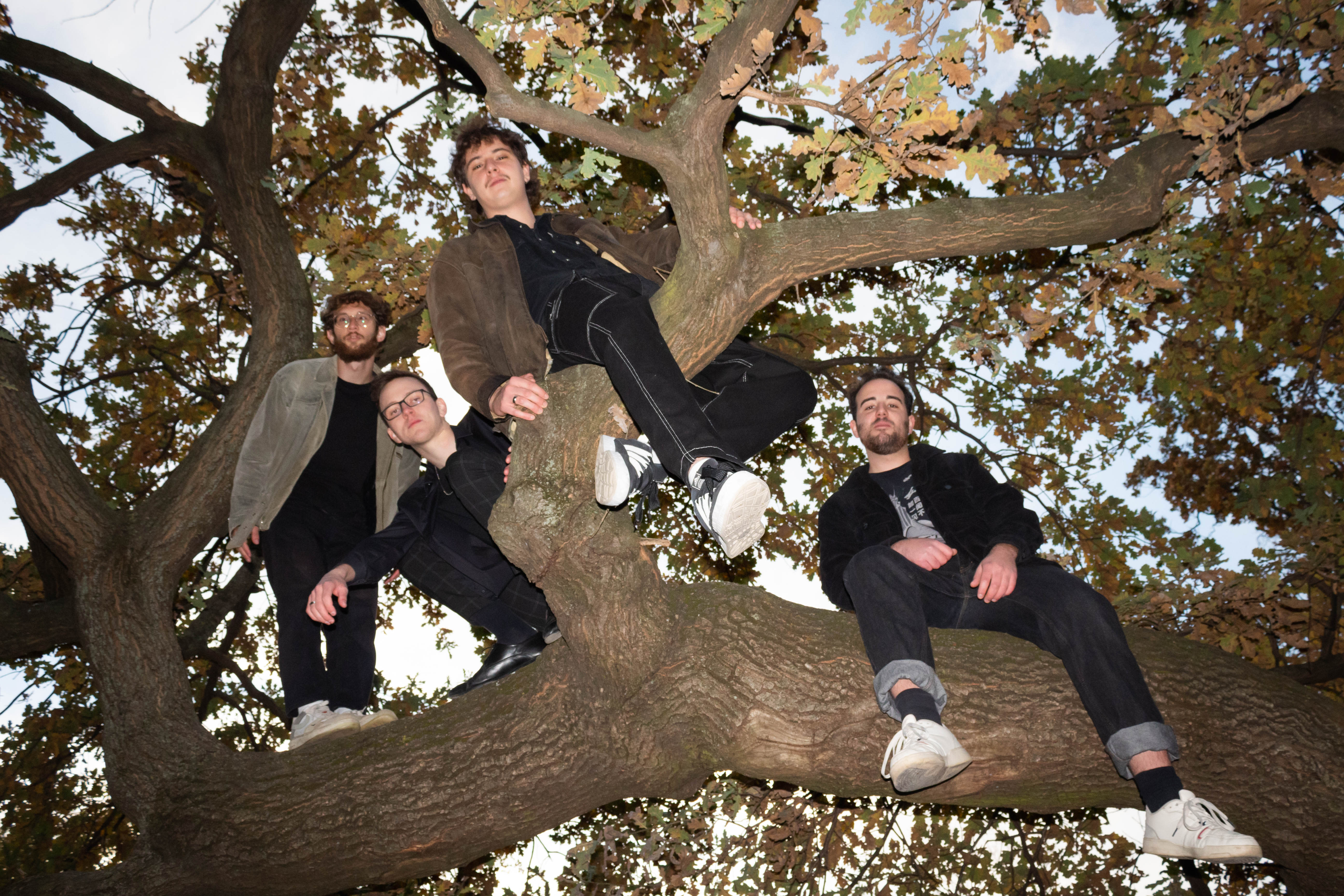 példák banda fotózásra - Image 9