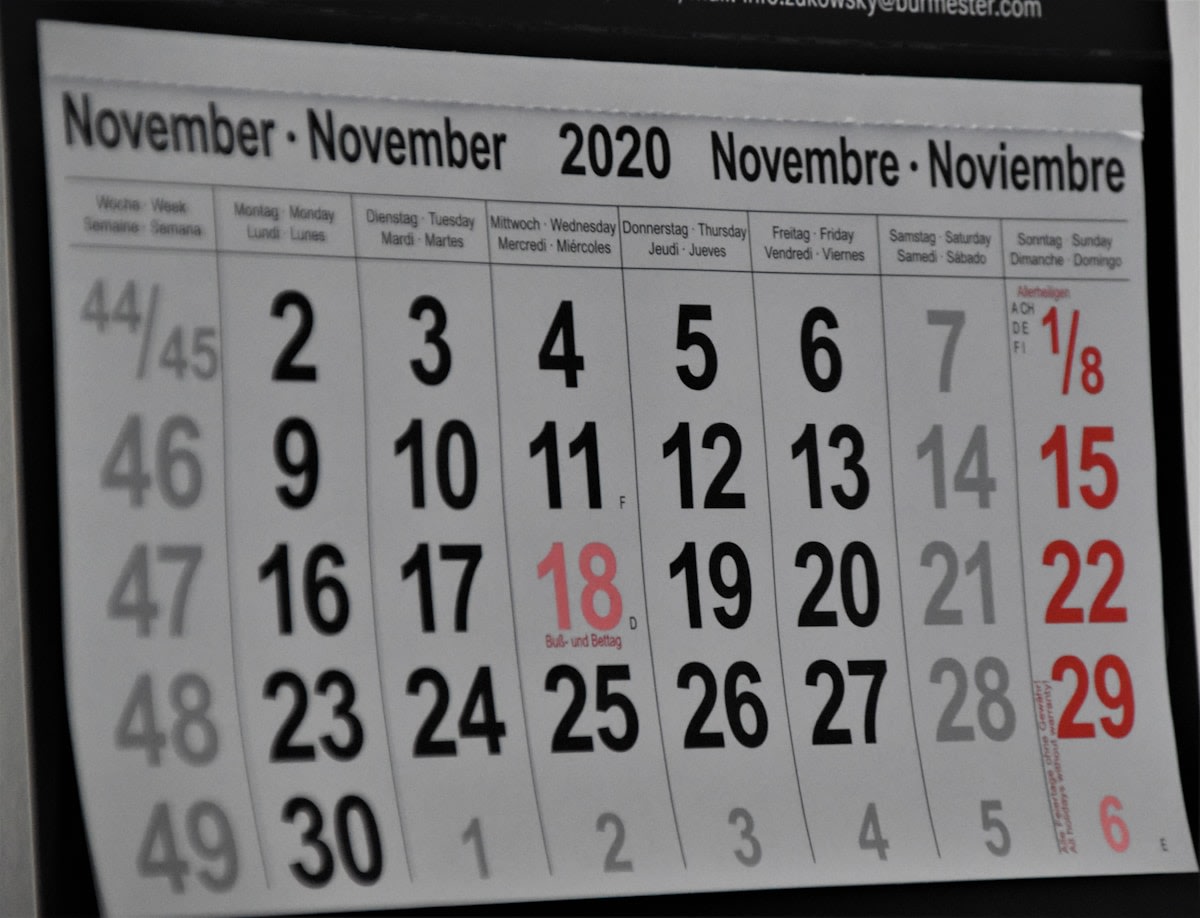 Service business owner reviewing calendar with empty appointment slots highlighting no-show follow-up process