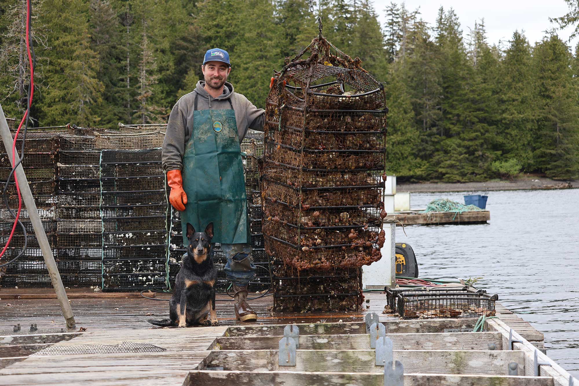 Alaska Kelp Farming