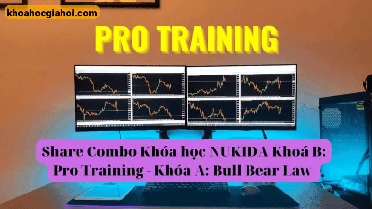 Combo Khóa Học Nukida Khoá B: Pro Training – Khóa A: Bull Bear Law