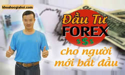 Khoá Học Đầu Tư Forex Cho Người Mới Bắt Đầu