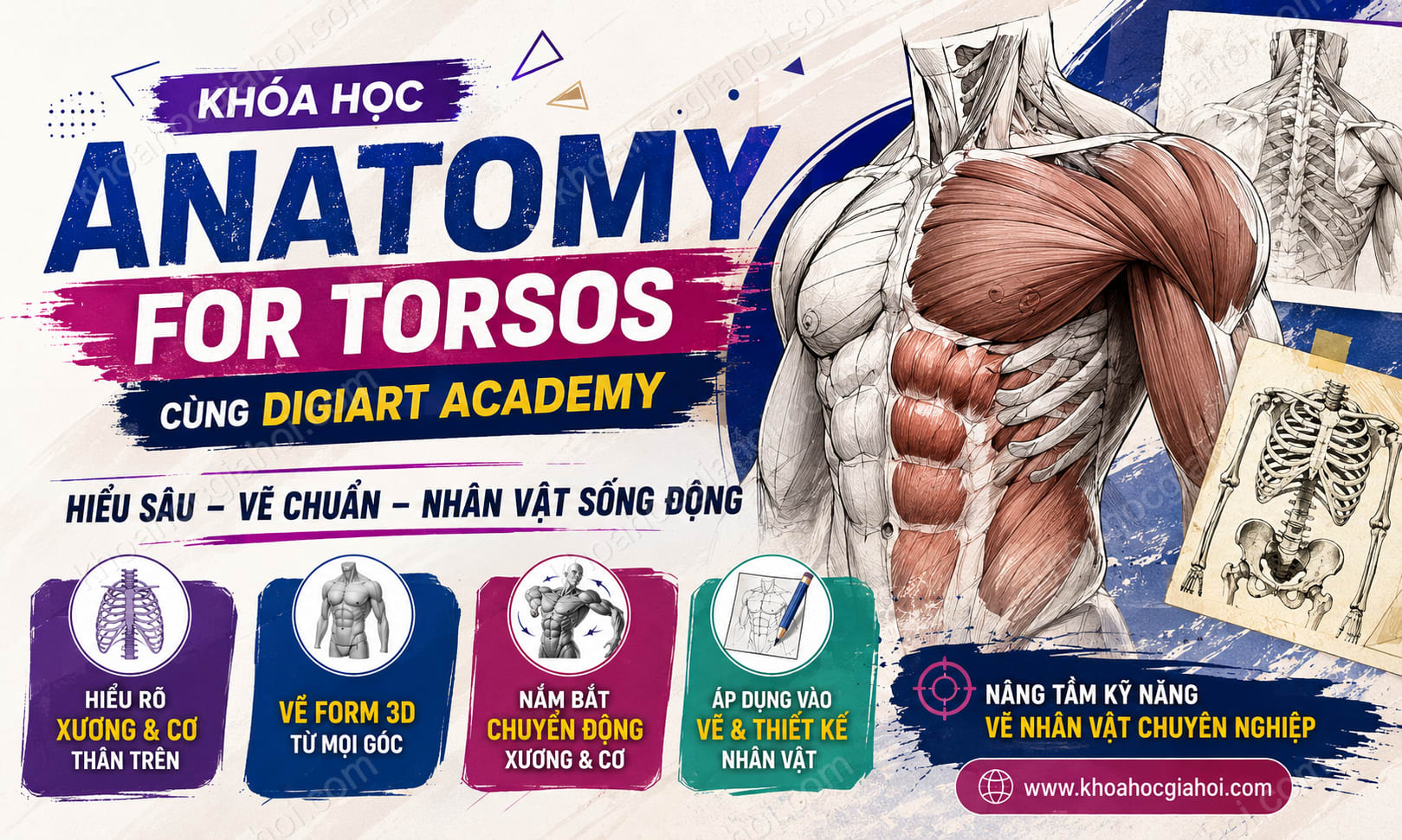 Khóa Học Anatomy For Torsos Cùng Digiart Academy