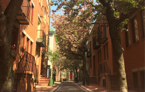 pennsylvania landlord tenant laws: sun-shining on tree and 3 story apartment buildings
