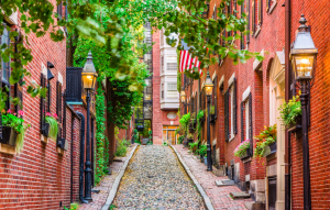 massachusetts landlord tenant laws streetview of apartment buildings and green trees