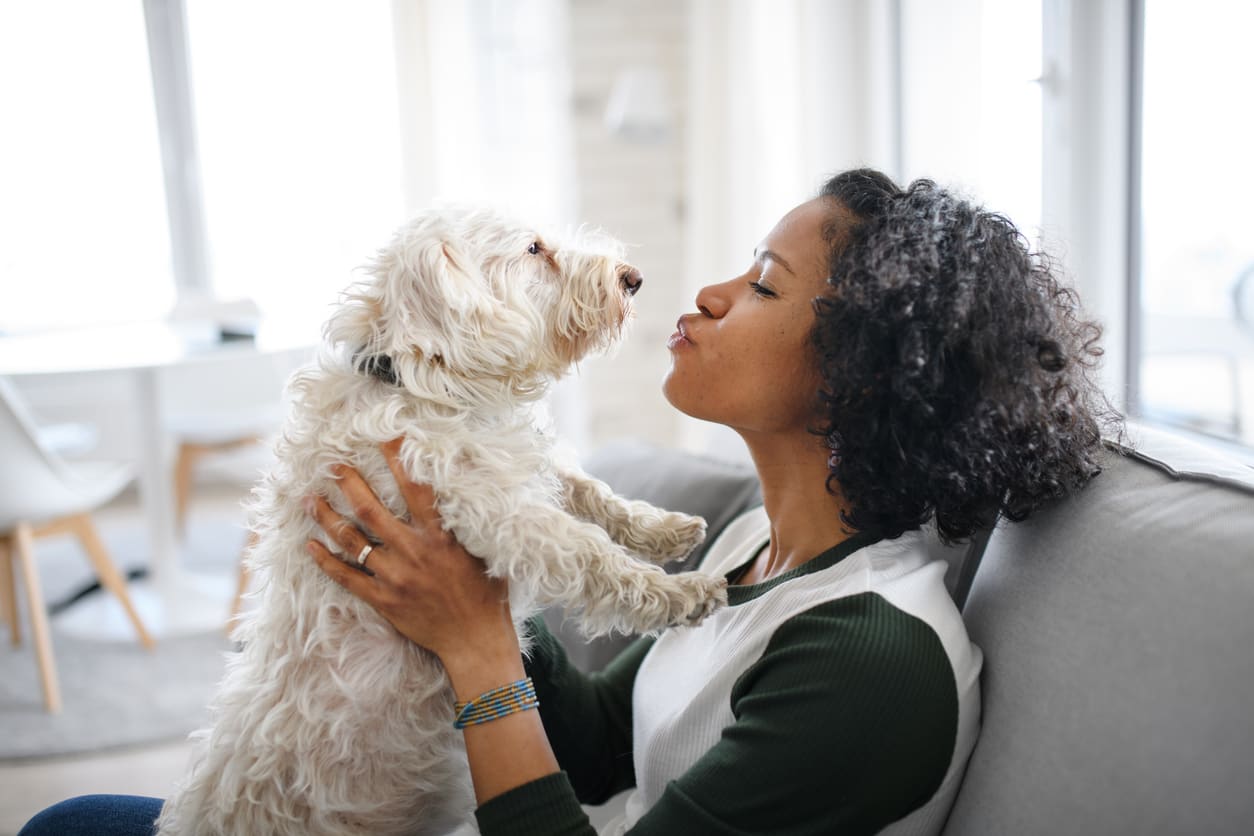 do-landlords-have-to-accept-emotional-support-animals-rentredi