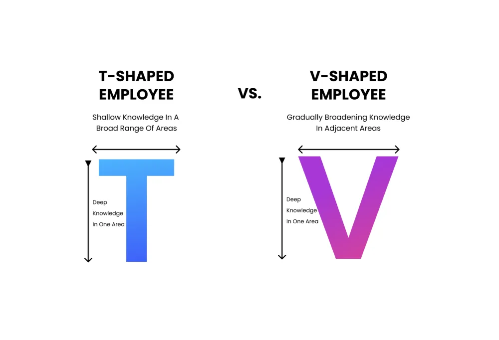 T-Shaped vs V-shaped professional