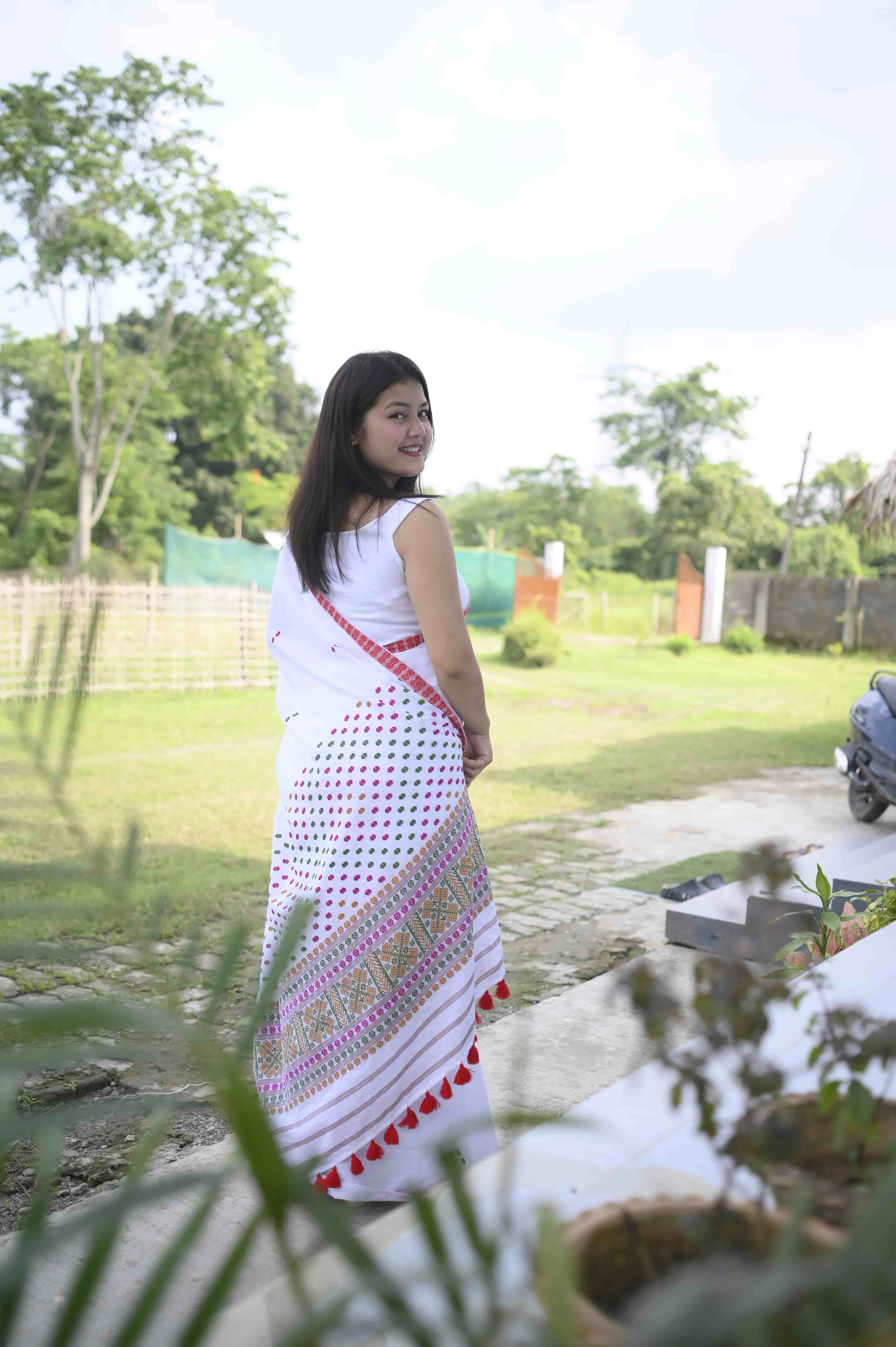 Rangilee, Multicolour motif saree